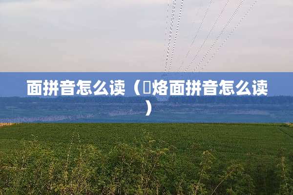 面拼音怎么读（饸烙面拼音怎么读）