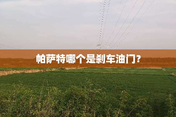 ***哪个是刹车油门？