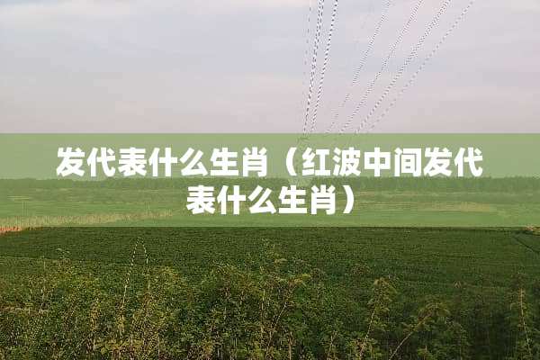 发代表什么生肖（红波中间发代表什么生肖）