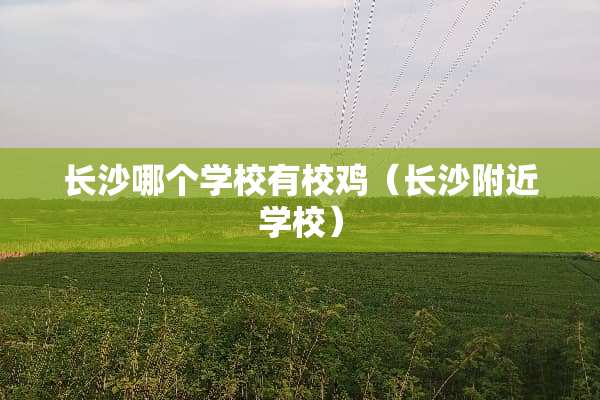 长沙哪个学校有校鸡（长沙附近学校）