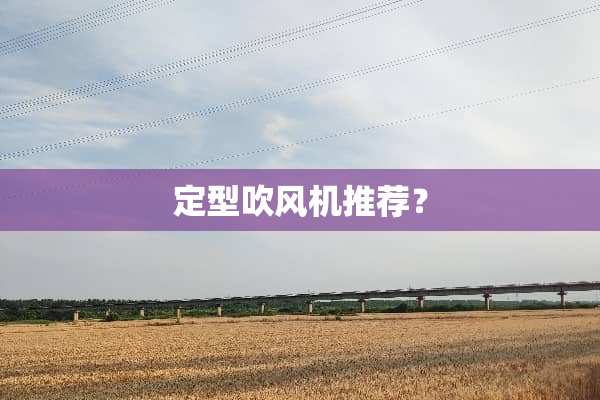 定型吹风机推荐？