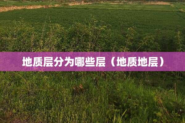 地质层分为哪些层（地质地层）