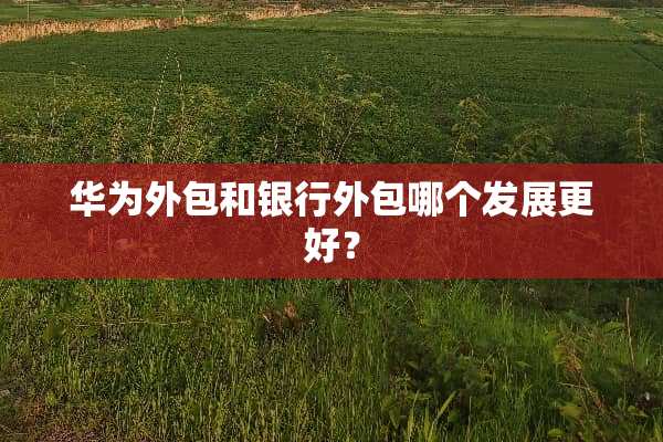 华为外包和银行外包哪个发展更好？