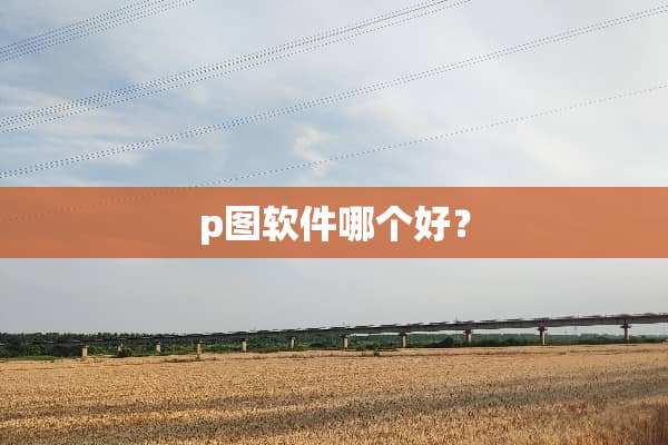 p图软件哪个好？
