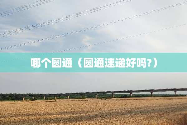 哪个圆通（圆通速递好吗?）