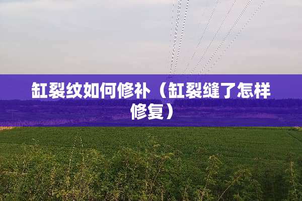 缸裂纹如何修补（缸裂缝了怎样修复）