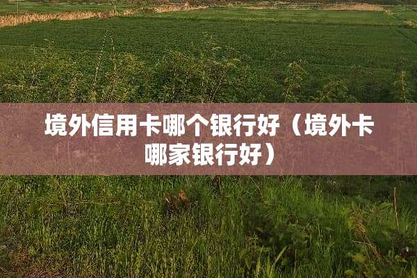 境外***哪个银行好（境外卡哪家银行好）
