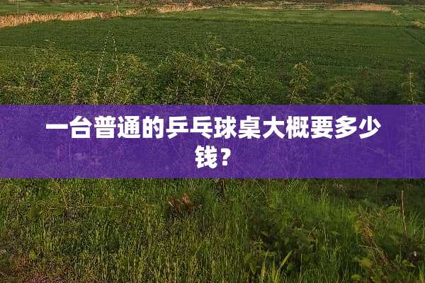 一台普通的乒乓球桌大概要多少钱？