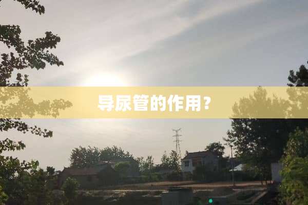 导尿管的作用？