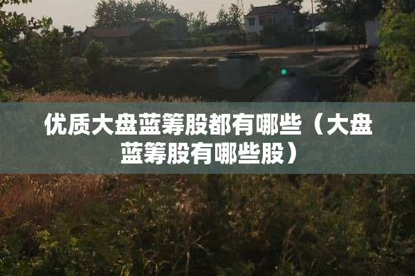 优质大盘蓝筹股都有哪些（大盘蓝筹股有哪些股）