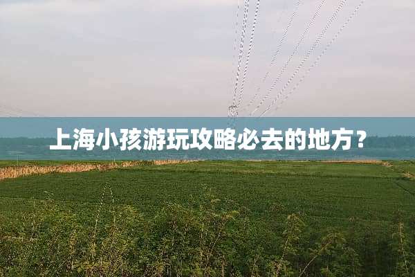 上海小孩游玩攻略必去的地方？