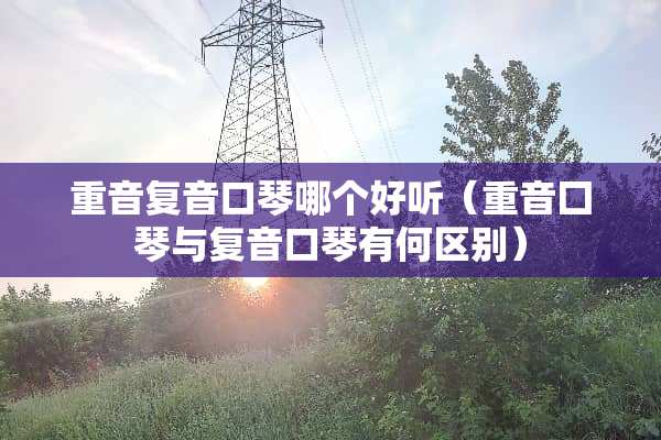 重音复音口琴哪个好听（重音囗琴与复音口琴有何区别）