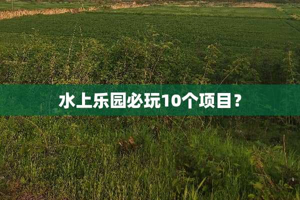 水上乐园必玩10个项目？