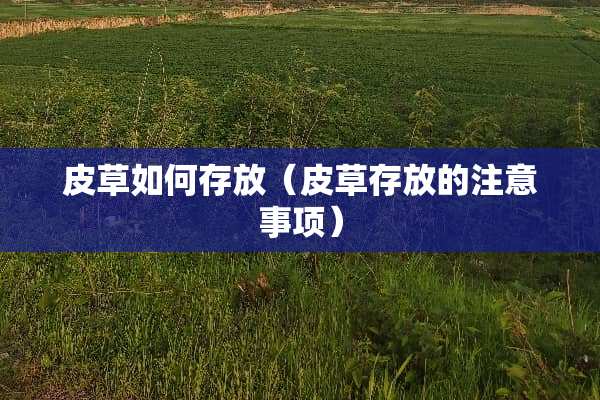 皮草如何存放（皮草存放的注意事项）