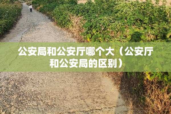 **局和**厅哪个大（**厅和**局的区别）