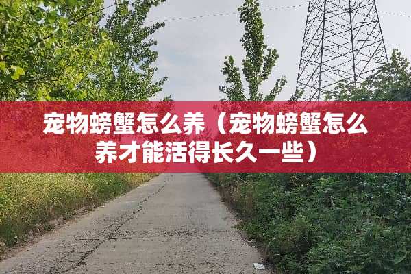 宠物螃蟹怎么养（宠物螃蟹怎么养才能活得长久一些）