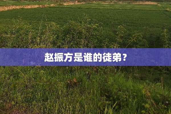 赵振方是谁的徒弟？
