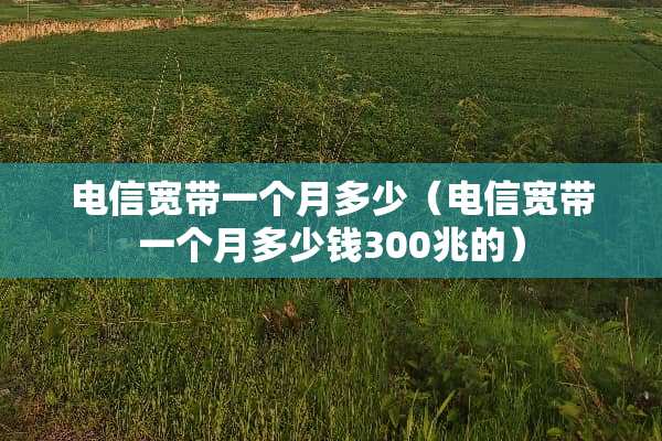 电信宽带一个月多少（电信宽带一个月多少钱300兆的）
