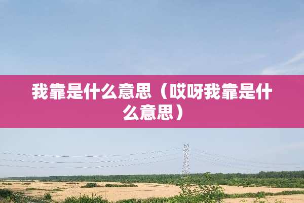**是什么意思（哎呀**是什么意思）