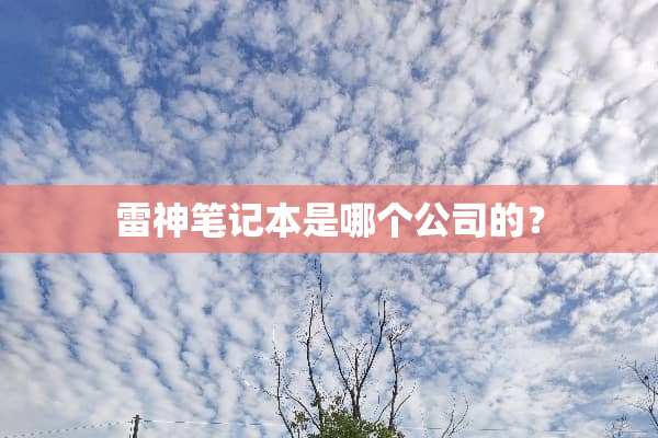 雷神笔记本是哪个公司的？