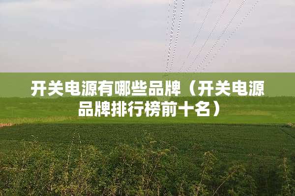 开关电源有哪些品牌（开关电源品牌排行榜前十名）