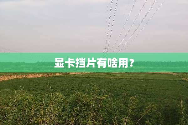 显卡挡片有啥用？