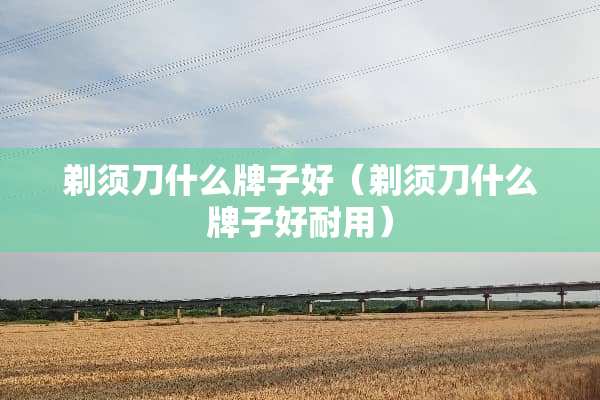 剃须刀什么牌子好（剃须刀什么牌子好耐用）