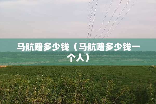 马航赔多少钱（马航赔多少钱一个人）