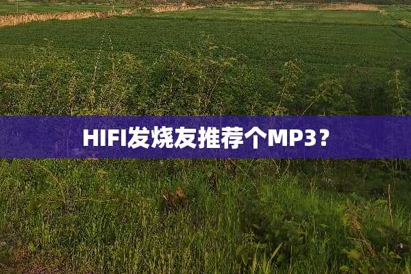 HIFI发烧友推荐个MP3？