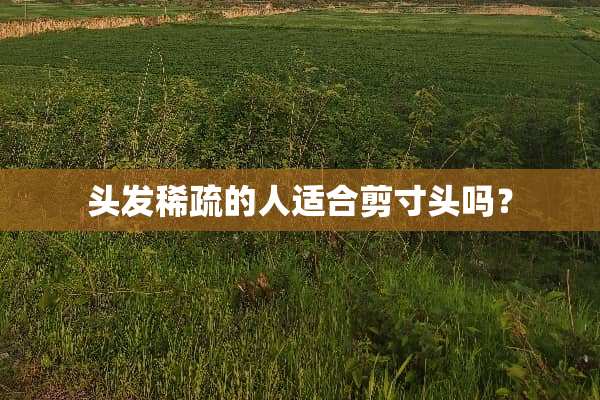 头发稀疏的人适合剪寸头吗？