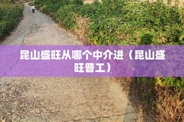昆山盛旺从哪个中介进（昆山盛旺普工）