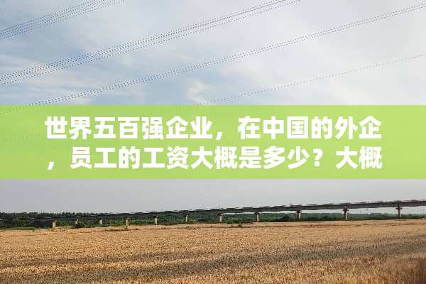 世界五百强企业，在中国的外企，员工的工资大概是多少？大概，谢谢？