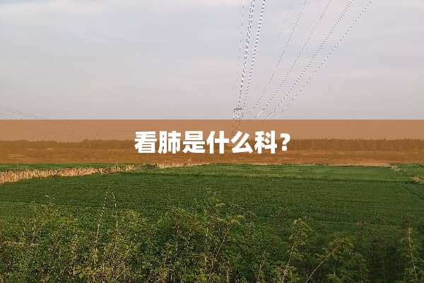 看肺是什么科？