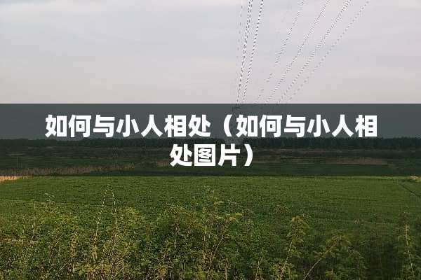 如何与小人相处（如何与小人相处图片）