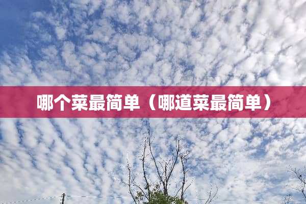 哪个菜最简单（哪道菜最简单）