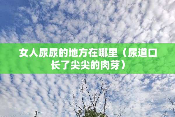 女人尿尿的地方在哪里（尿道口长了尖尖的肉芽）