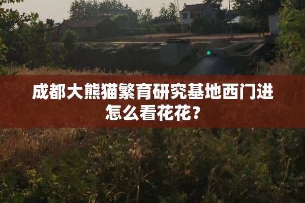 成都大熊猫繁育研究基地西门进怎么看花花？