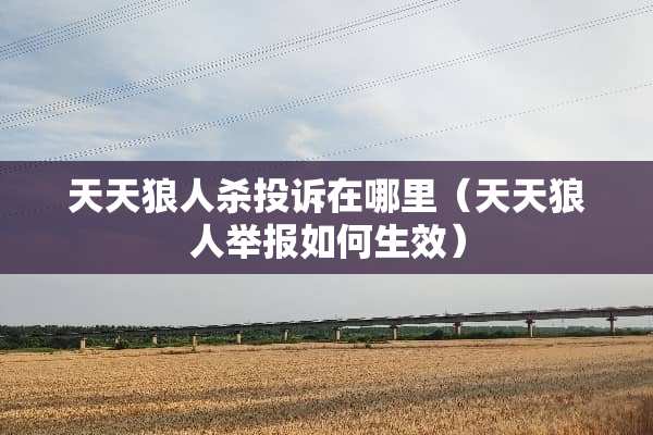 天天狼人杀投诉在哪里（天天狼人举报如何生效）