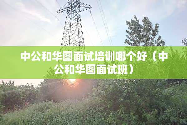 中公和华图面试培训哪个好（中公和华图面试班）