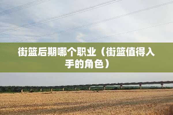 街篮后期哪个职业（街篮值得入手的角色）