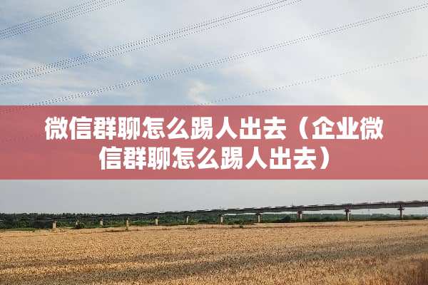 微信群聊怎么踢人出去（企业微信群聊怎么踢人出去）