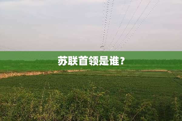 苏联首领是谁？