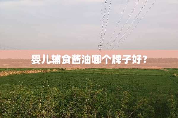 婴儿辅食酱油哪个牌子好？