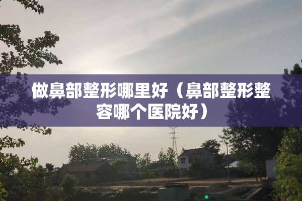做鼻部整形哪里好（鼻部整形整容哪个医院好）