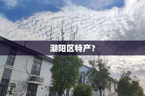 潮阳区特产？