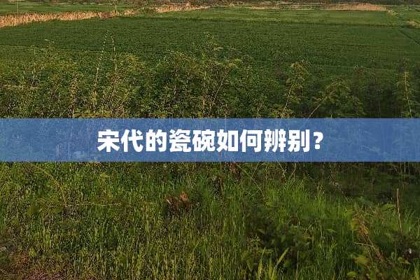 宋代的瓷碗如何辨别？