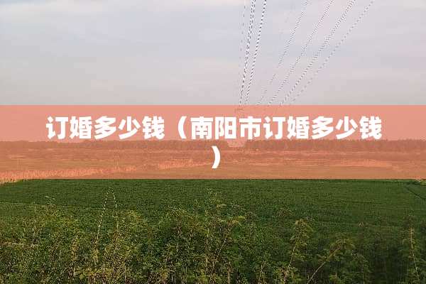 订婚多少钱（南阳市订婚多少钱）