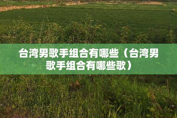**男歌手组合有哪些（**男歌手组合有哪些歌）