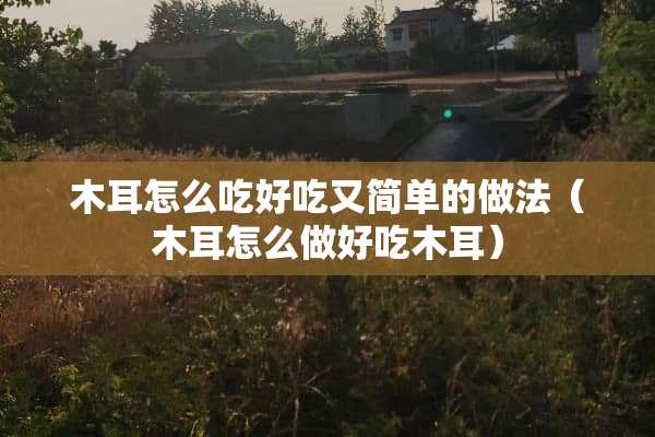 木耳怎么吃好吃又简单的做法（木耳怎么做好吃木耳）
