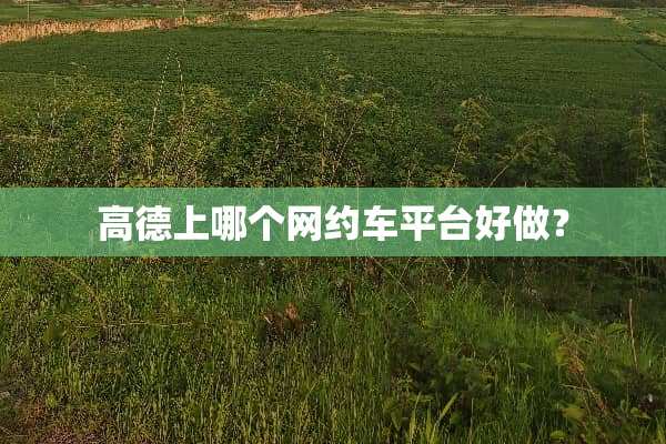 高德上哪个网约车平台好做？